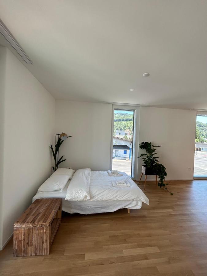 The R Apartment Passwang, Klima, Neu, Balkon, Parking Balsthal エクステリア 写真