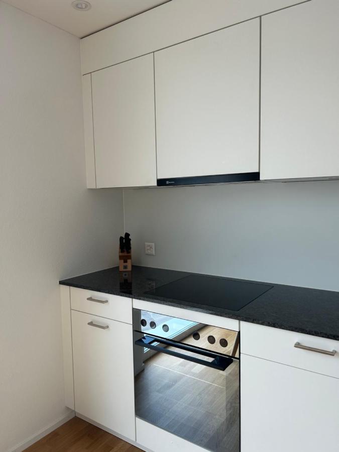 The R Apartment Passwang, Klima, Neu, Balkon, Parking Balsthal エクステリア 写真