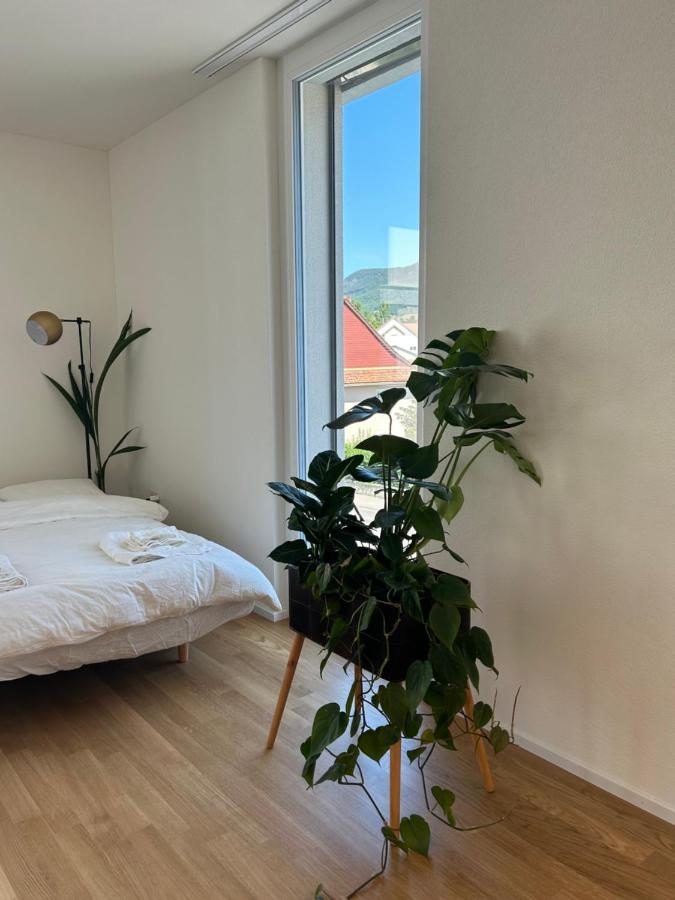 The R Apartment Passwang, Klima, Neu, Balkon, Parking Balsthal エクステリア 写真