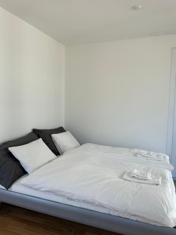 The R Apartment Passwang, Klima, Neu, Balkon, Parking Balsthal エクステリア 写真