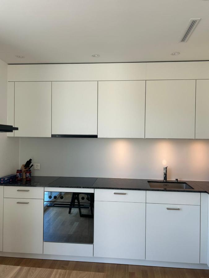 The R Apartment Passwang, Klima, Neu, Balkon, Parking Balsthal エクステリア 写真