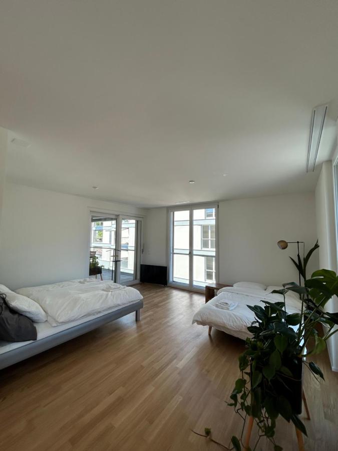 The R Apartment Passwang, Klima, Neu, Balkon, Parking Balsthal エクステリア 写真